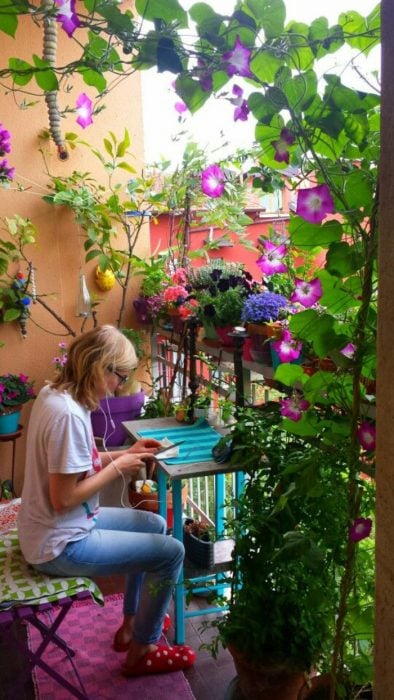 balconcito con enredaderas de flores 