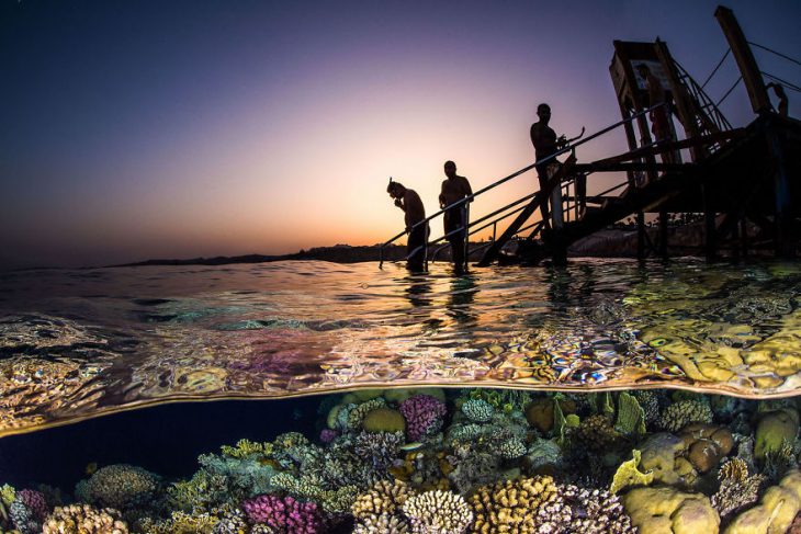 Fotografías bajo el agua 2018 natgeo