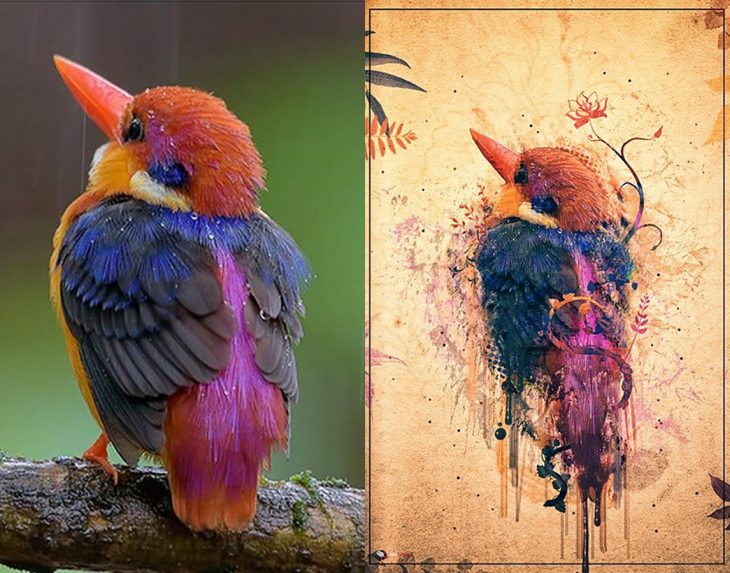 Photoshop de ilustración de un pajarito 