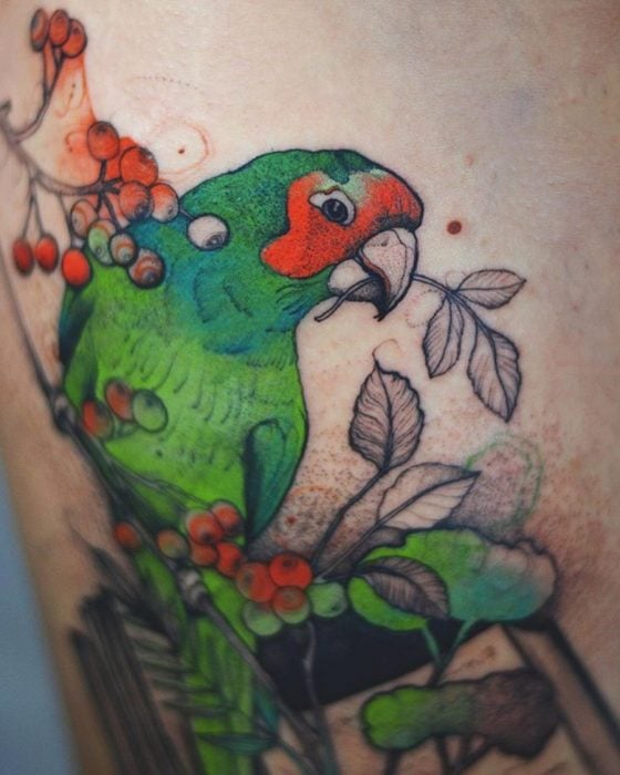 tatuaje de un perico de bellos colores