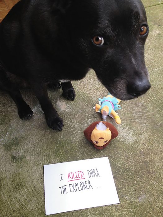 perrito que mató a dora la exploradora 