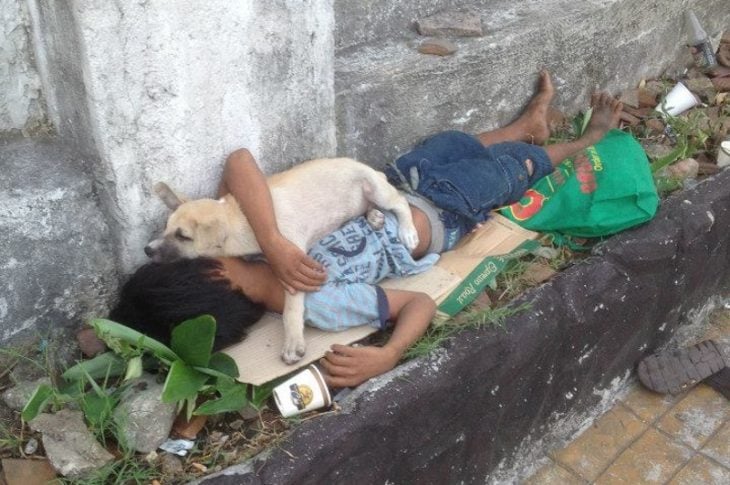 niño sin hogar adopta perr