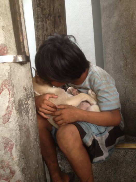 niño sin hogar adopta perro