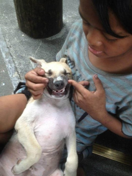 niño sin hogar adopta perro