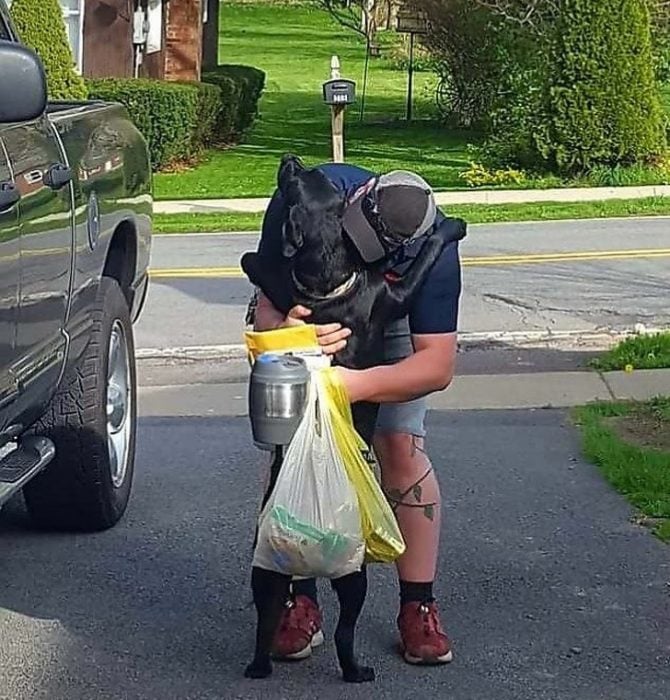 perritos haciendo cosas buenas por sus dueños