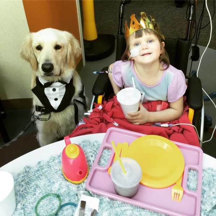 perrito de servicio y niña con cáncer tomando el té 