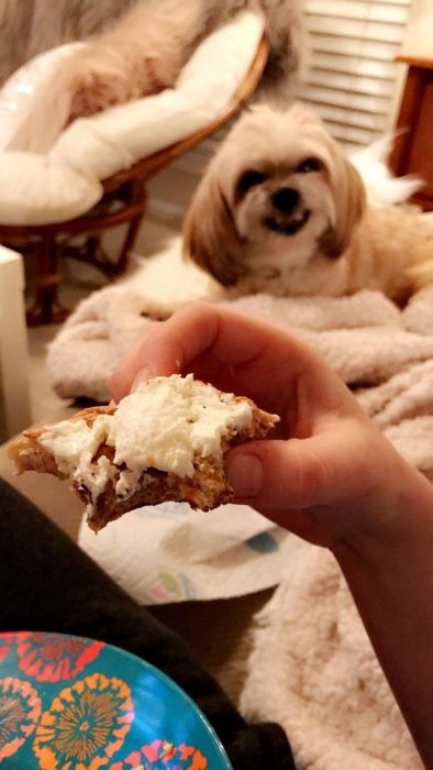 perrito con cara malvada 