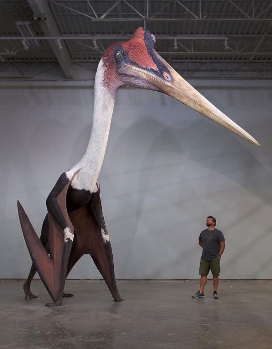 Quetzalcoatlus, el animal volador más grande de la historia