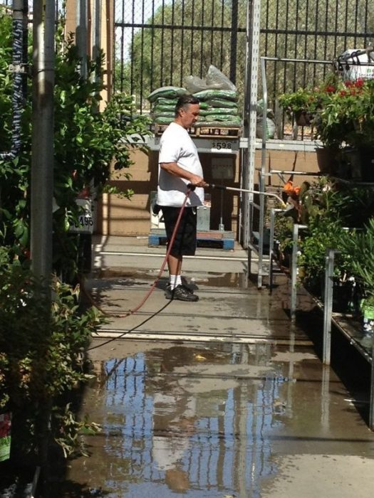 señor se puso a regar las plantas secas, no es un empleado de la tienda