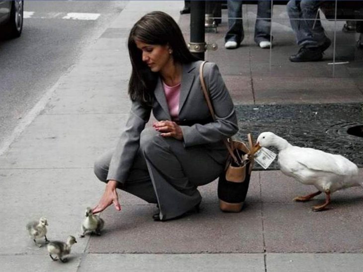 patos robando a una mujer 