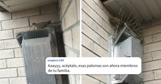 Cover Este hombre ha pasado 4 años luchando contra los pájaros