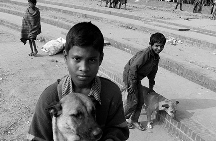 niños de las calles con sus perros 