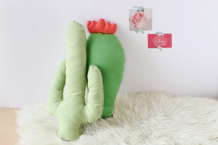 cojines de cactus 