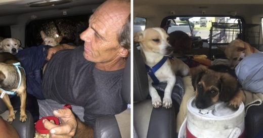 Cover Hombre sin hogar dedica su vida a rescatar perros