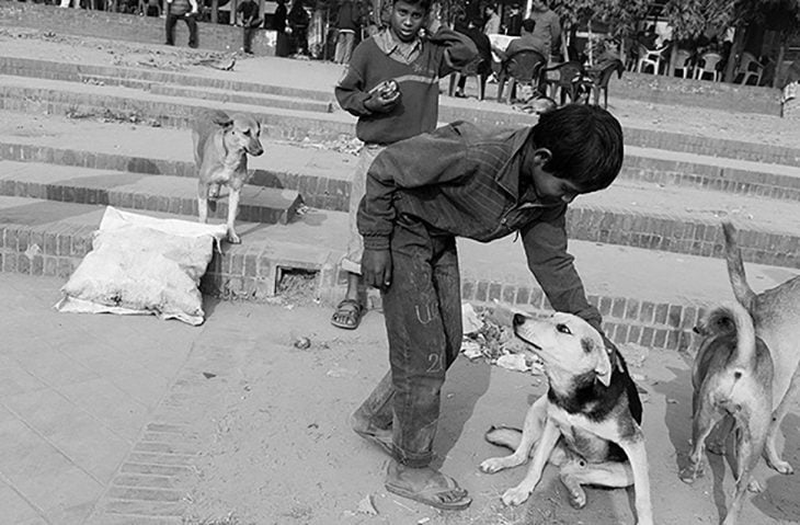 niño acariciando a un perro callejero 