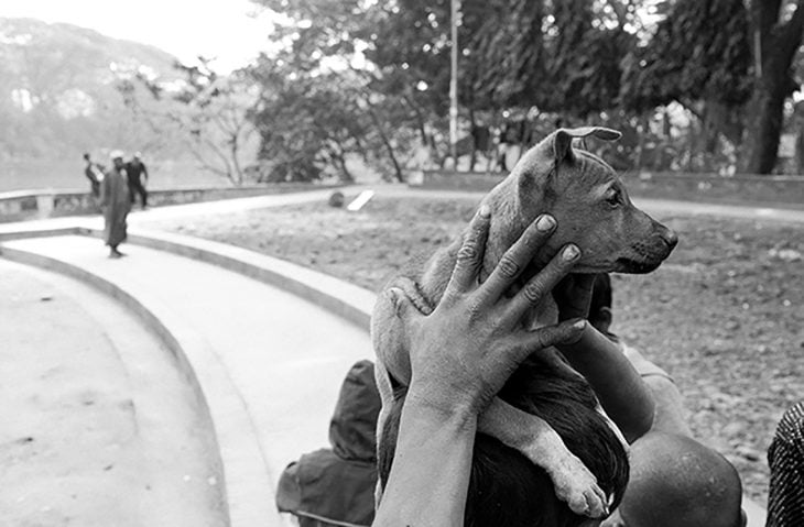 foto a blanco y negro de cachorro de la calle 