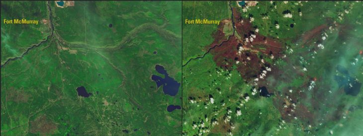  Incendio en Alberta, Canadá, destruyó gran parte del bosque : 2015 - 2016
