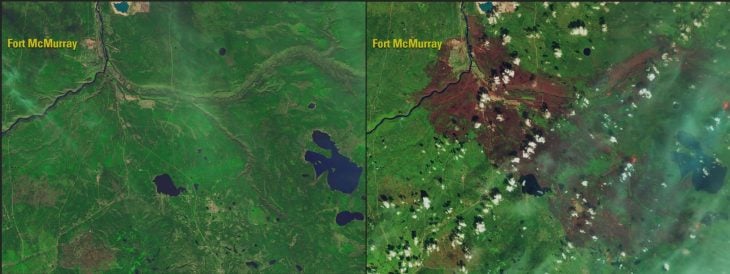  Incendio en Alberta, Canadá, destruyó gran parte del bosque : 2015 - 2016