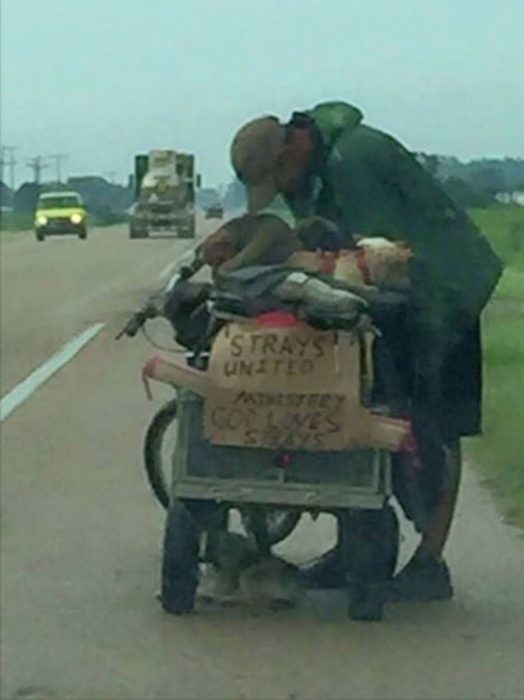 hombre pobre con sus perros 