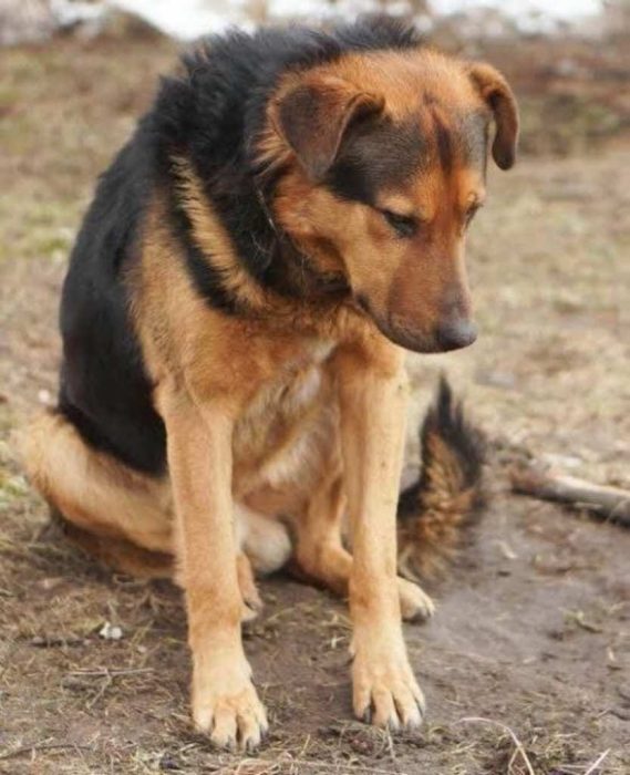 le dijeron quieto y lo abandonaron