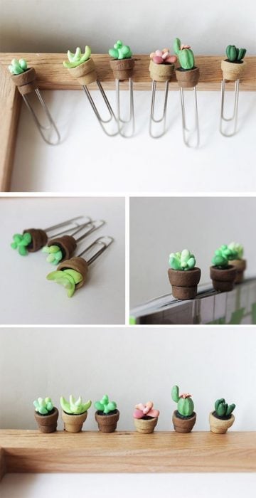 clips de cactus y suculentas