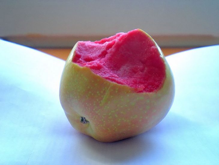 manzana rosa 