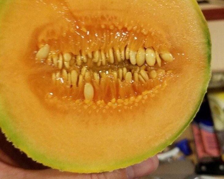melón 