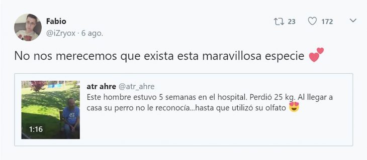 comentario sobre un video bonito en twitter 