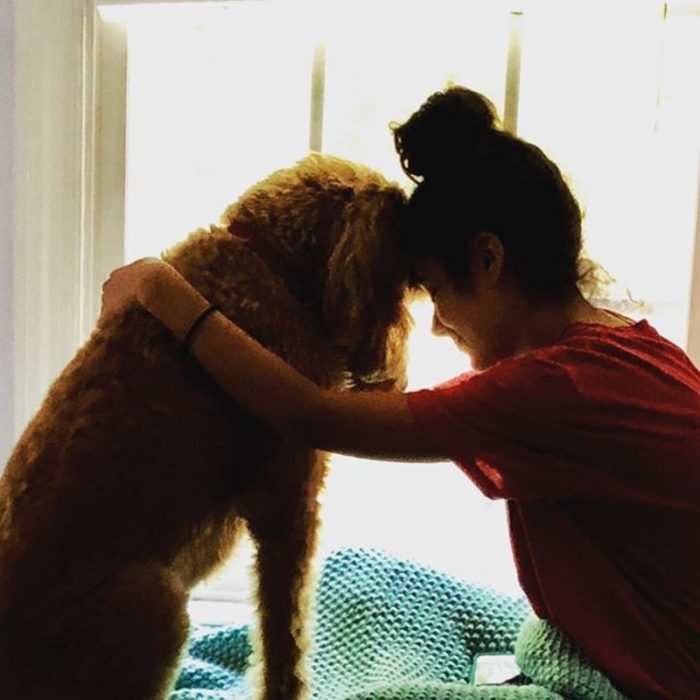 perrito consolando a humana 