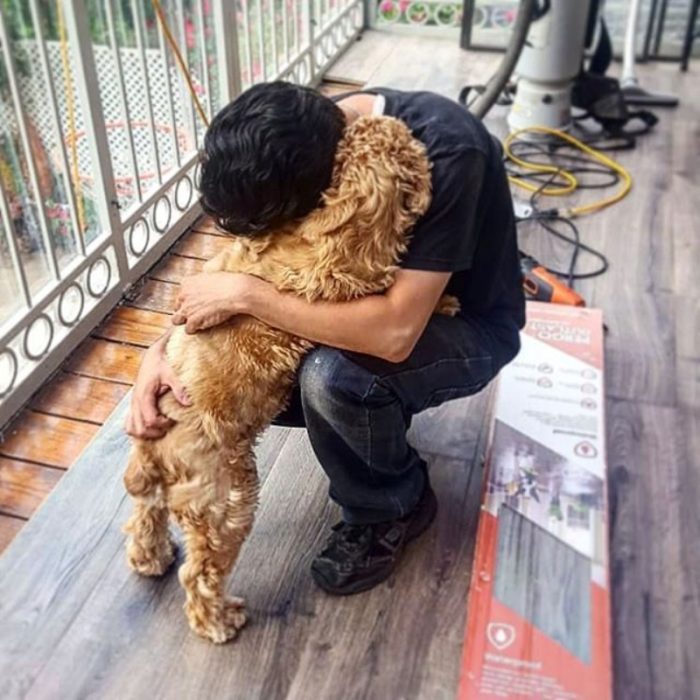 perrito abraza a humano 