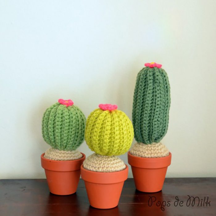 cactus tejidos 
