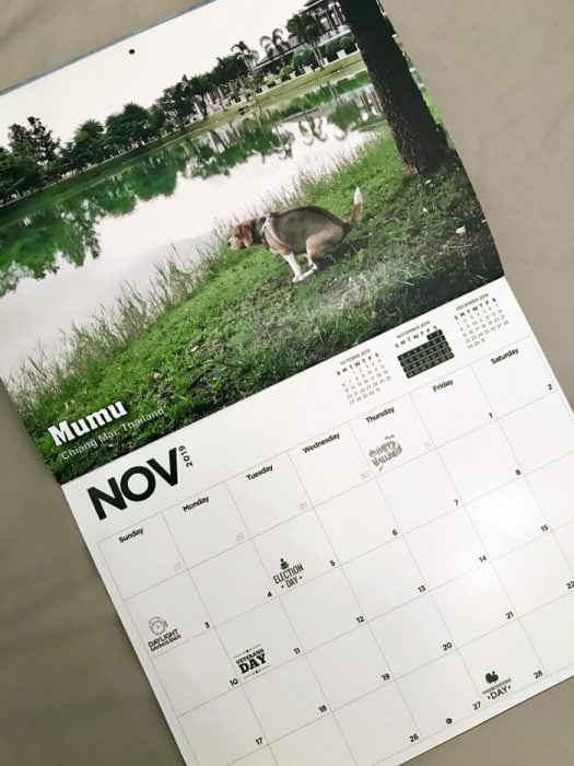 Calendario de perros haciendo popo