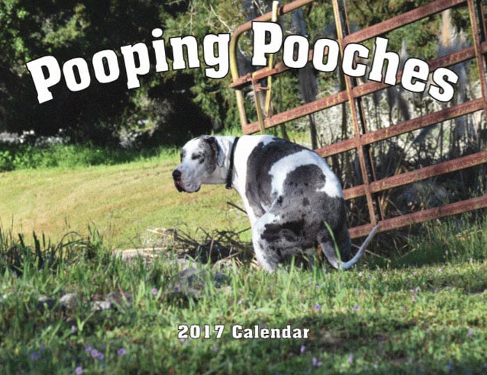 Calendario de perros haciendo popo