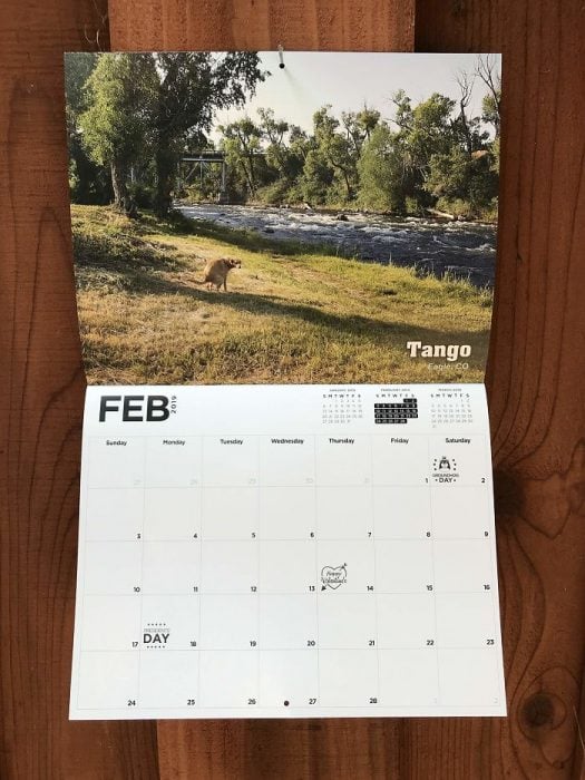 Calendario de perros haciendo popo