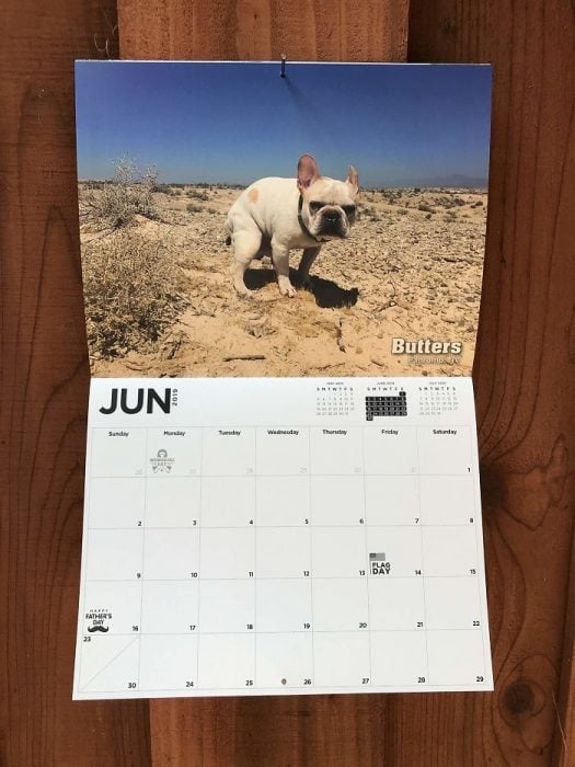 Calendario de perros haciendo popo