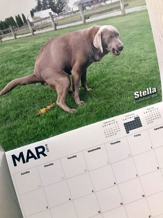 Calendario de perros haciendo popo