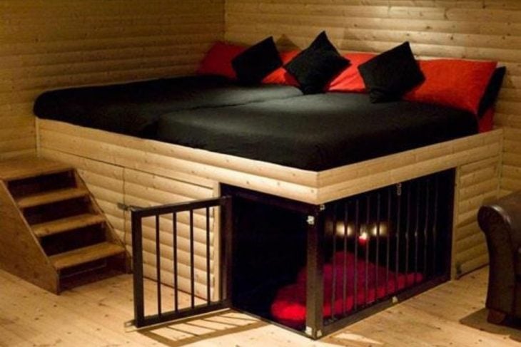 bonitas camas para perros