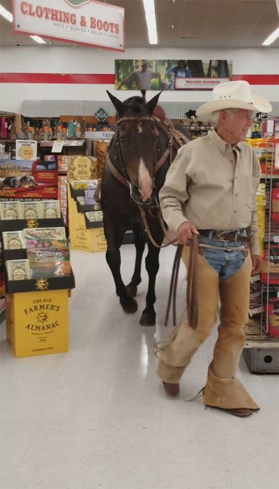 señor que va a la tienda con su caballo