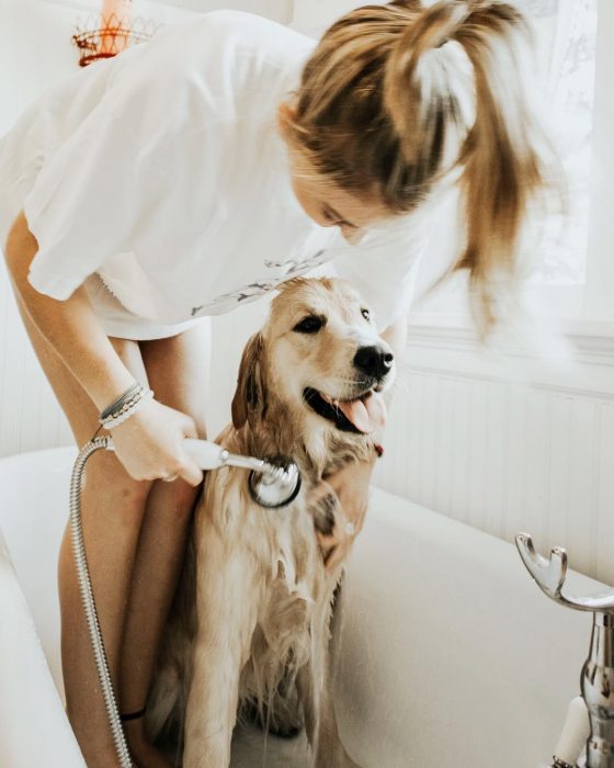 bañando a perrito 