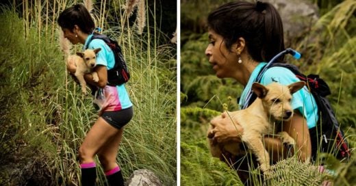 Cover Corredora interrumpe su competencia en un maratón para salvar a un cachorro