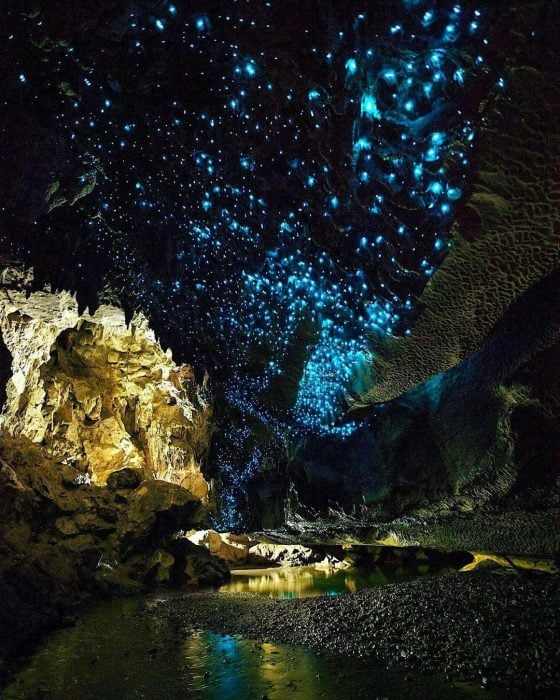 Cueva de las Luces, Nueva Zelanda