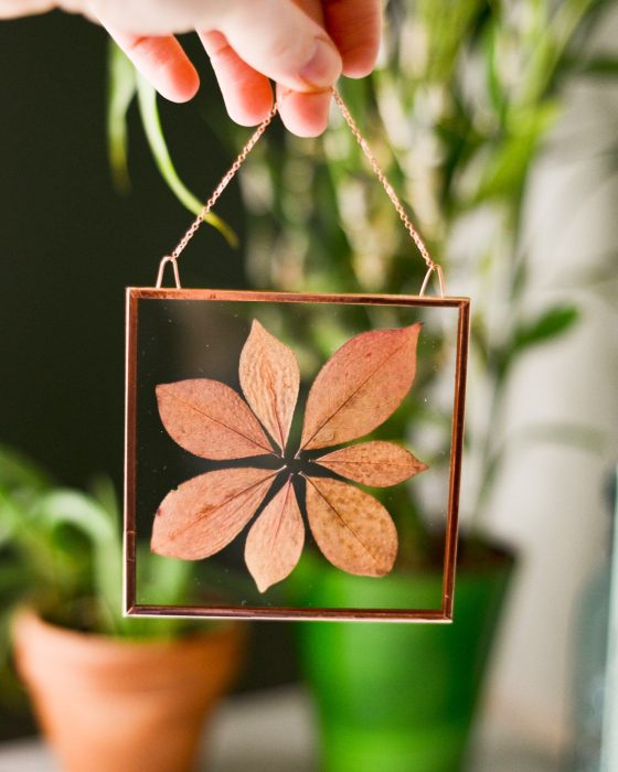 decoración con hojas de árbol