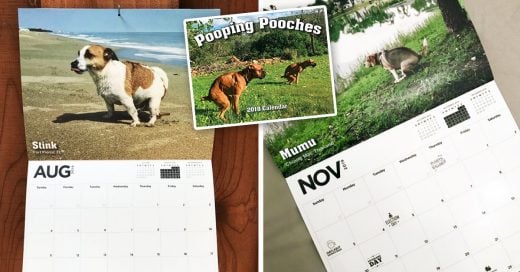 Cover Calendario de perros defecando en entornos pintorescos