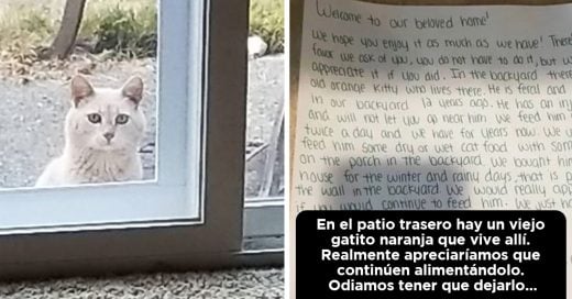 Cover Se mudan de casa y ven un invitado especial. Una carta explicó quién era y cuáles son sus costumbres