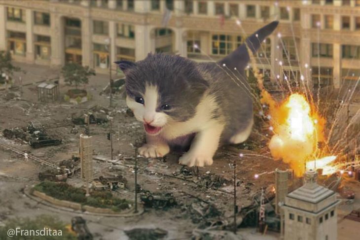 gatodzilla