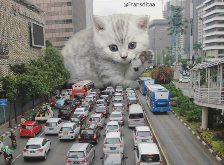 gatodzilla