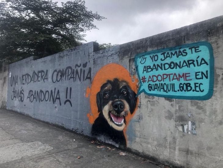 perrito bonito graffitti 