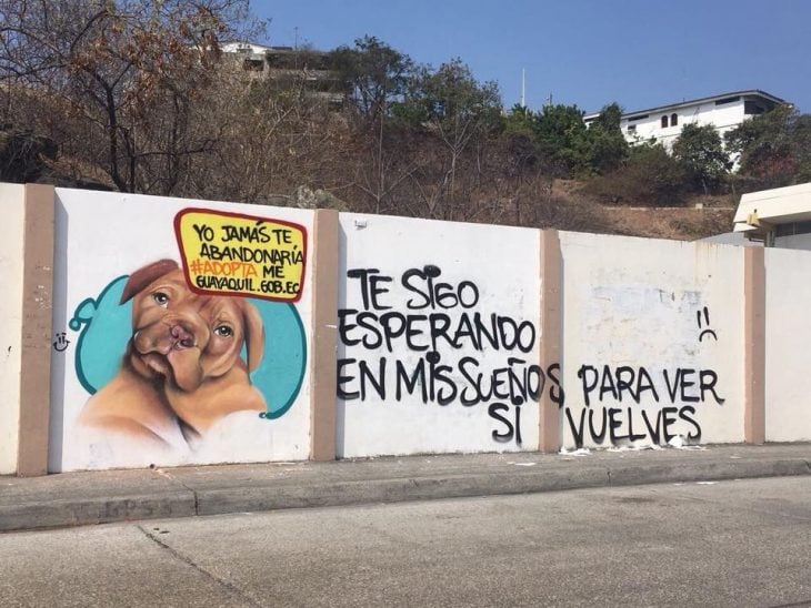 pperrito grafitti nunca te abandonaría 