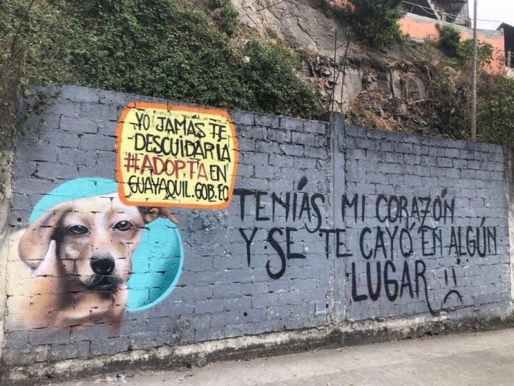 perrito nunca descuidará el corazón 