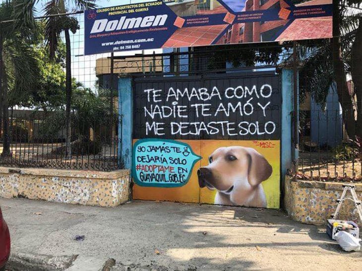 grafitti de perrito labrador 